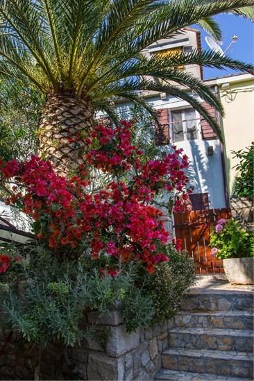 Apartment Julia Veli Lošinj Extérieur photo